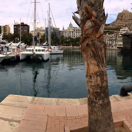 Apartament Homely Playa De Locos Torrevieja